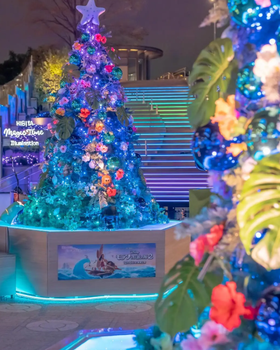 照片來源：小紅書