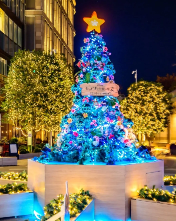 照片來源：小紅書