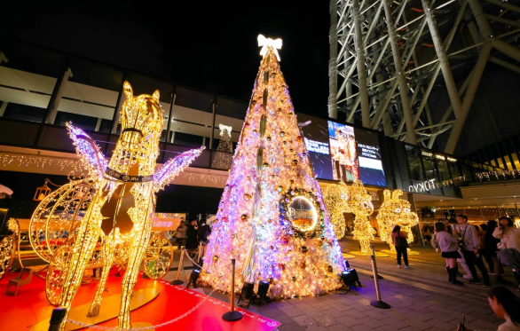 照片來源：小紅書