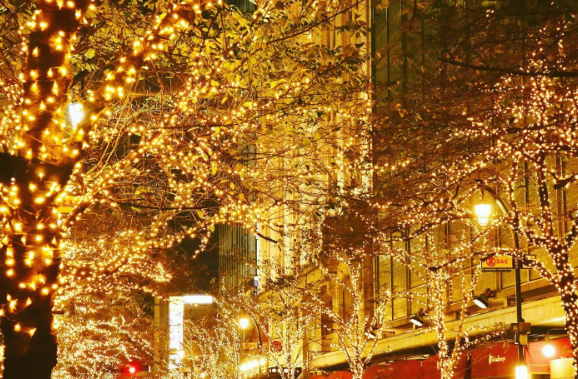 照片來源：小紅書