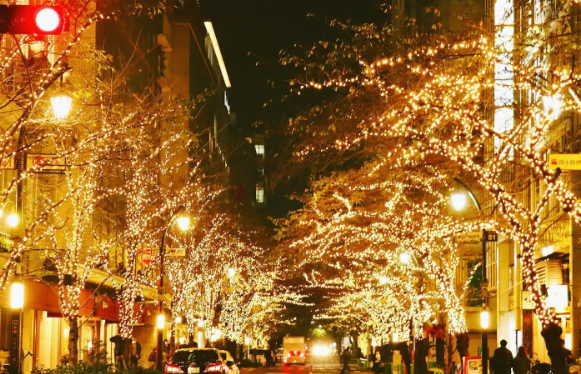 照片來源：小紅書