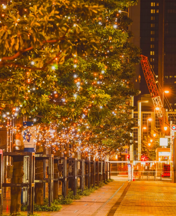 照片來源：小紅書