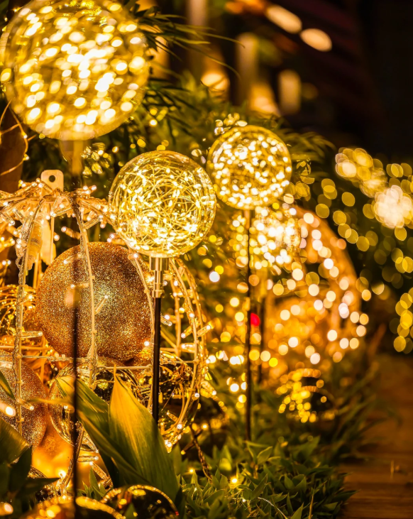 照片來源：小紅書