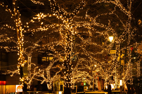 照片來源：小紅書