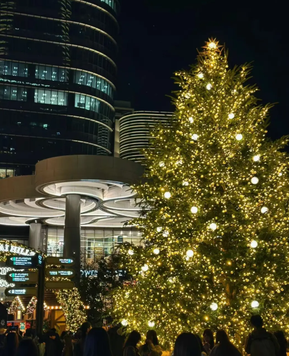 照片來源：小紅書