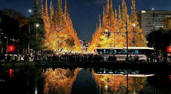 照片來源：小紅書