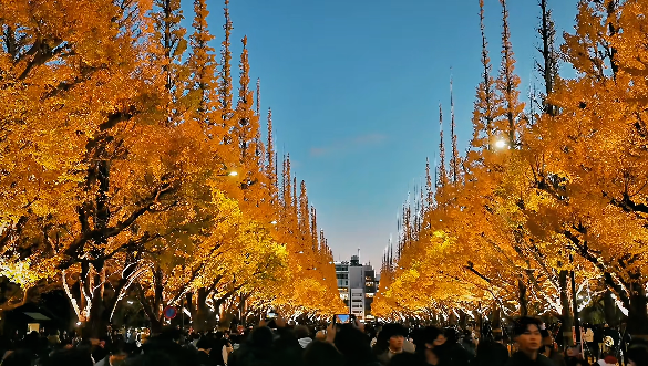 照片來源：小紅書