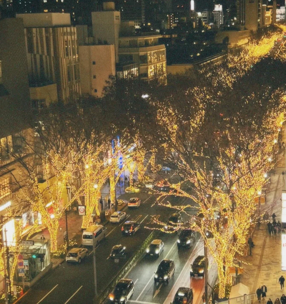 照片來源：小紅書