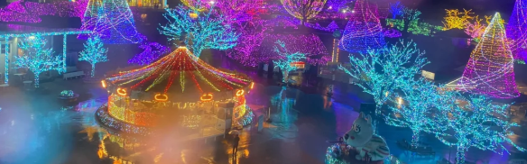 照片來源：小紅書