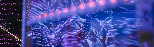 照片來源：小紅書