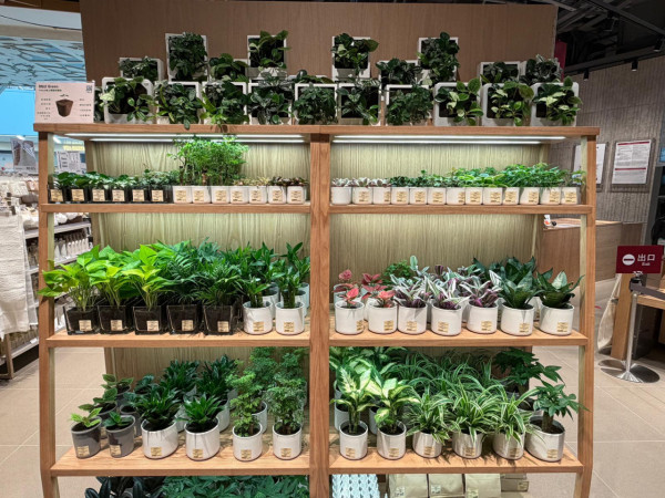 直擊！無印良品MUJI觀塘店擴充至萬呎規模！設自助咖啡機/免費飲水站！必搶3大開幕優惠送帆布袋