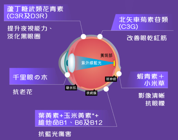 藍光日日傷害緊眼睛!!立即睇逆轉眼退化方案~踢走眼澀/老花/飛蚊/混濁等等問題