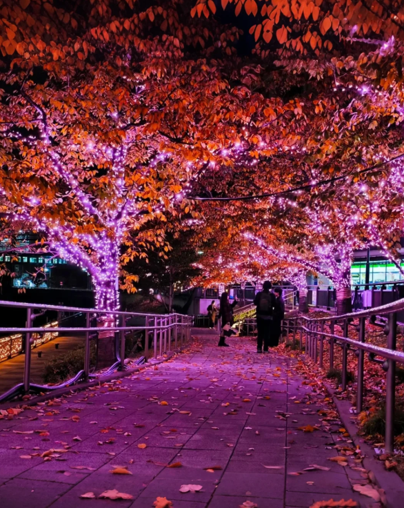 照片來源：小紅書