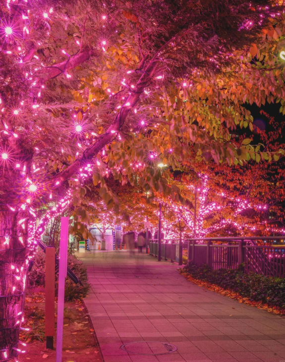 照片來源：小紅書