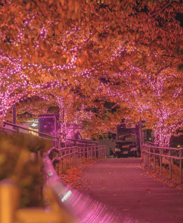 照片來源：小紅書