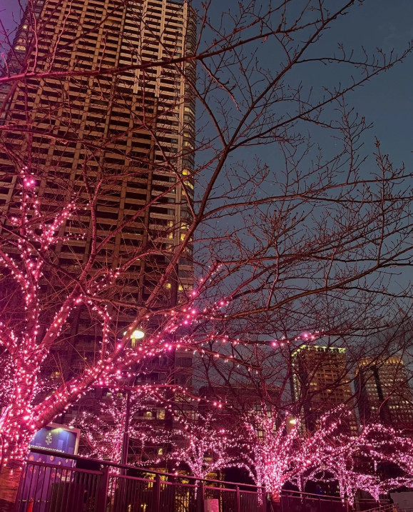 照片來源：小紅書