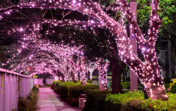 照片來源：小紅書