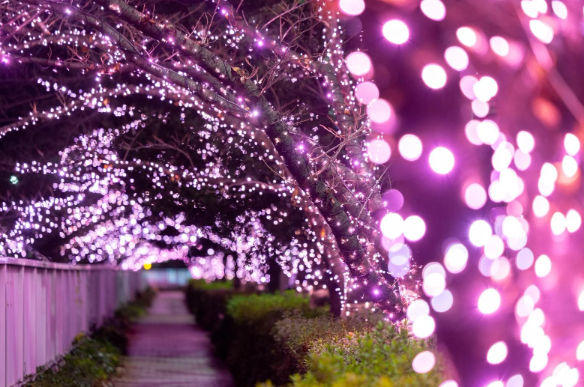 照片來源：小紅書