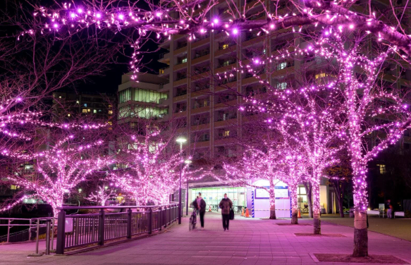 照片來源：小紅書