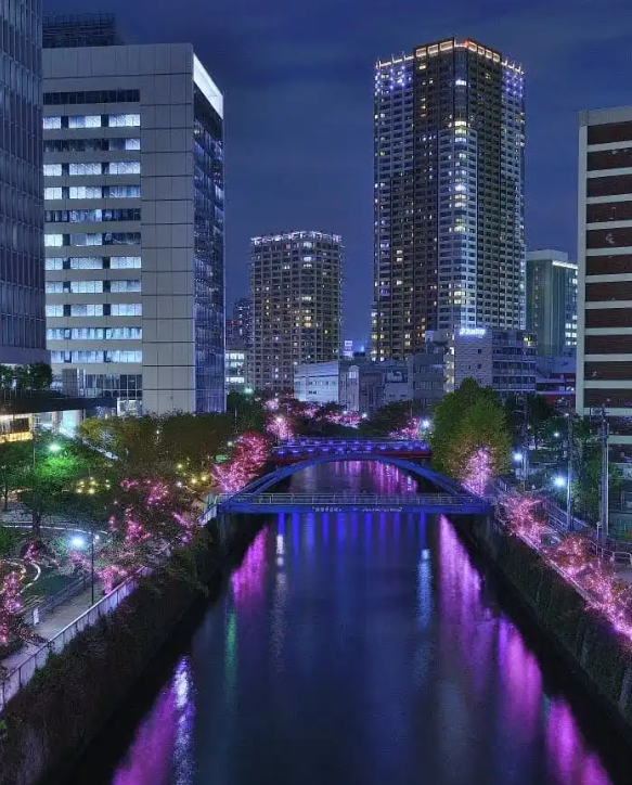 照片來源：小紅書