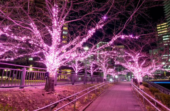 照片來源：小紅書