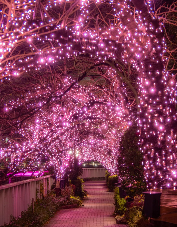 照片來源：小紅書