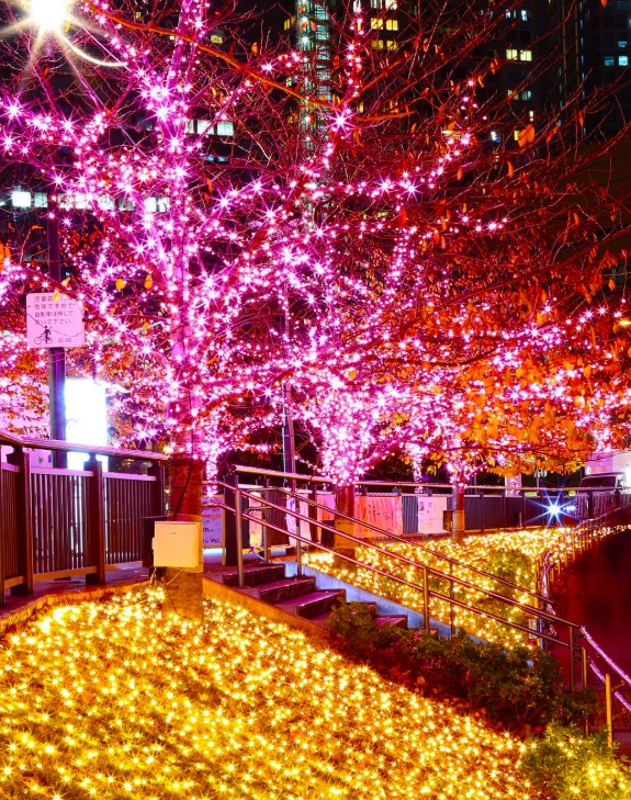 照片來源：小紅書