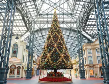 照片來源：小紅書