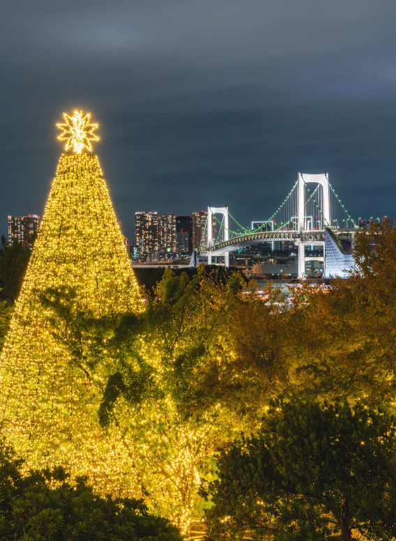 照片來源：小紅書