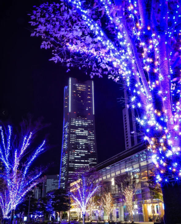 照片來源：小紅書