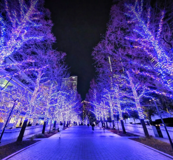 照片來源：小紅書