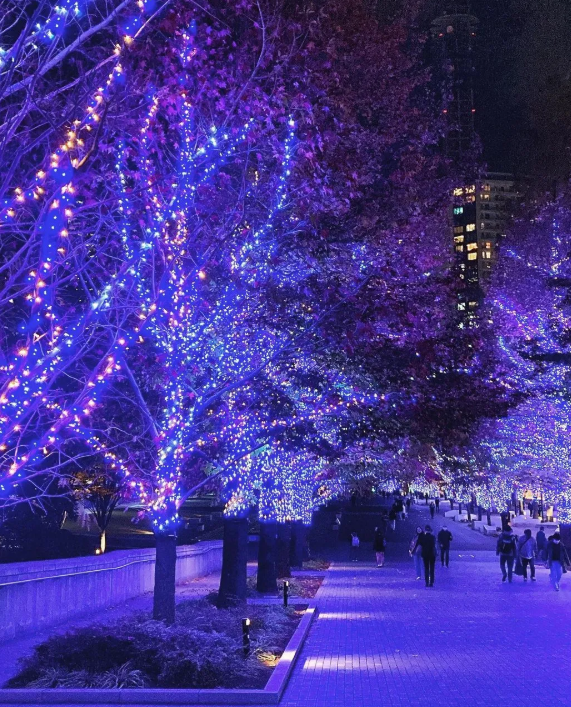 照片來源：小紅書