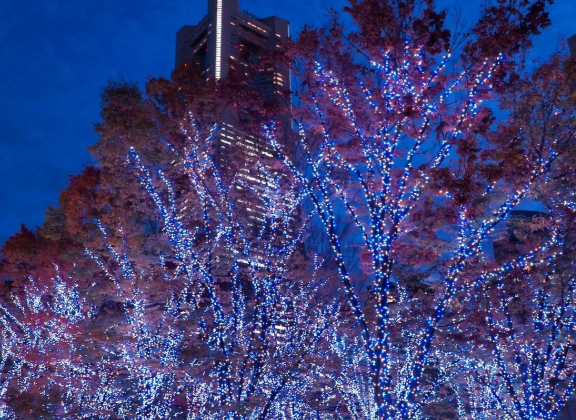 照片來源：小紅書