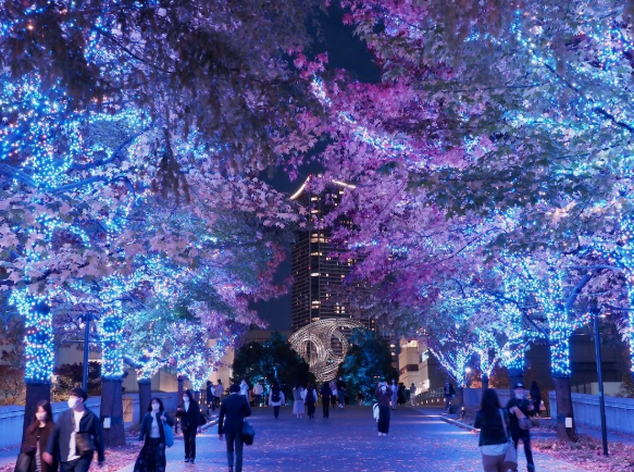 照片來源：小紅書