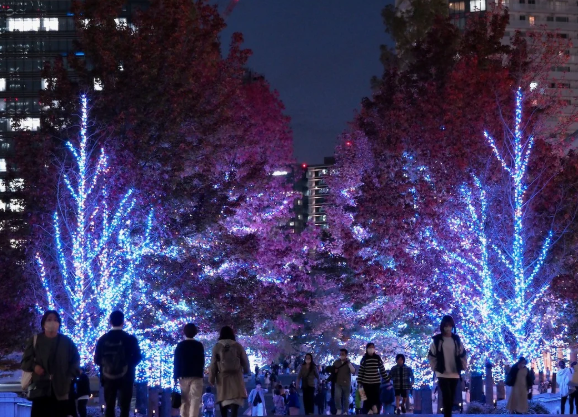 照片來源：小紅書