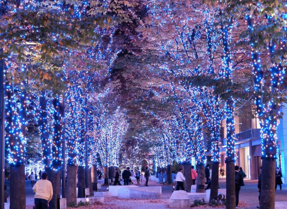 照片來源：小紅書