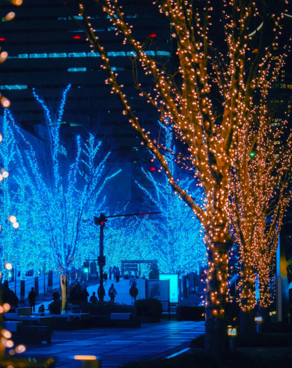 照片來源：小紅書