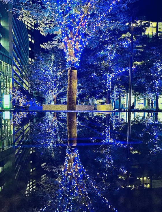 照片來源：小紅書