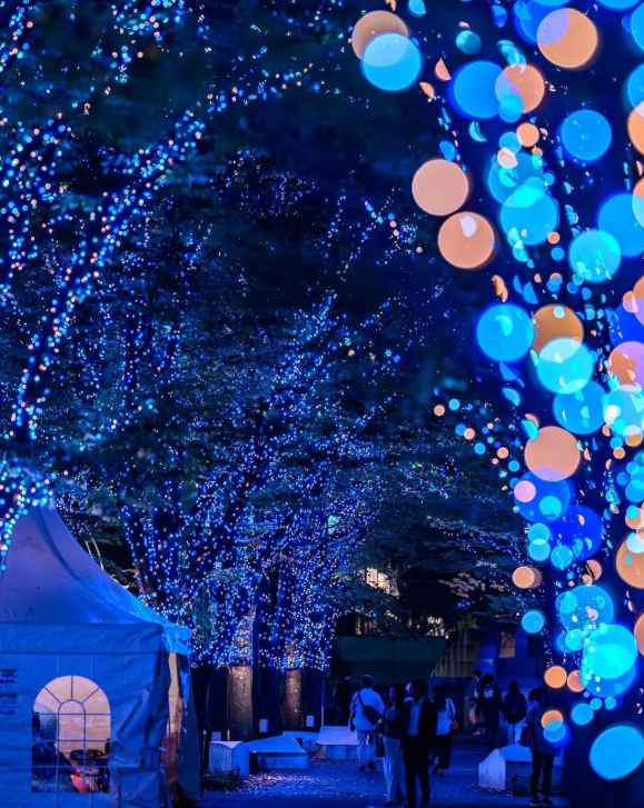 照片來源：小紅書