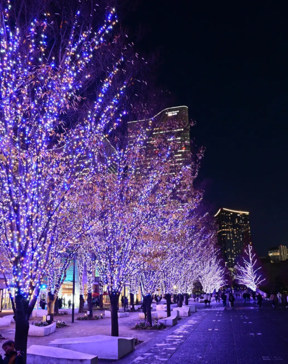 照片來源：小紅書