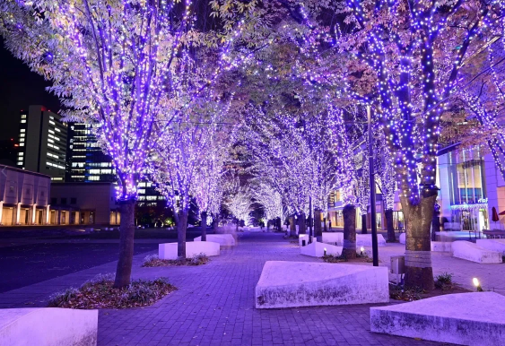 照片來源：小紅書