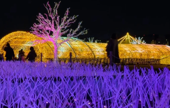 照片來源：小紅書