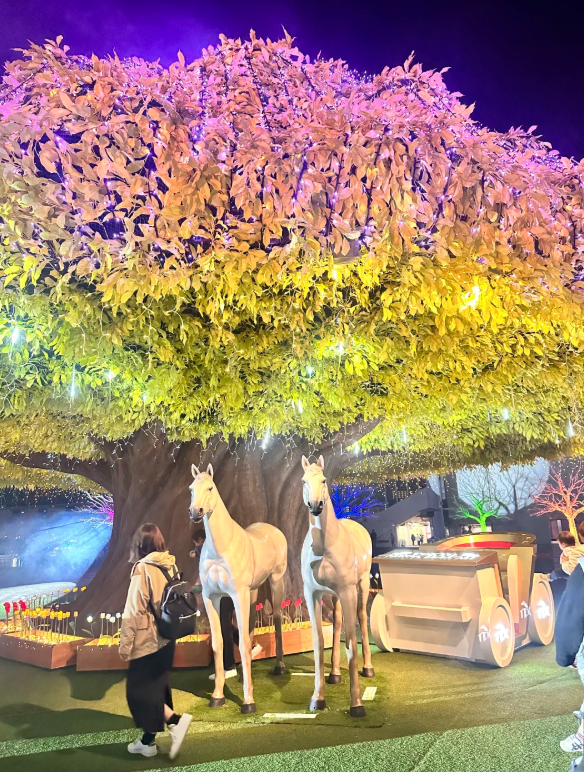 照片來源：小紅書