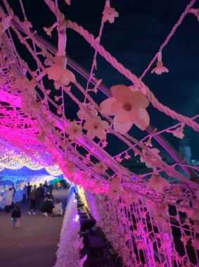 照片來源：小紅書