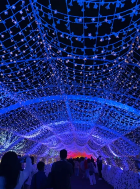 照片來源：小紅書