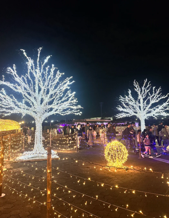 照片來源：小紅書