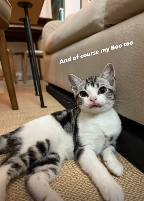 42歲阿Sa蔡卓妍被爆新戀情撻著大隻健身教練！靚仔男友抱貓傳情姐弟戀意外洩蜜