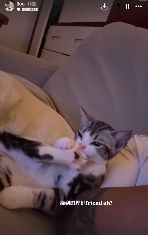 42歲阿Sa蔡卓妍被爆新戀情撻著大隻健身教練！靚仔男友抱貓傳情姐弟戀意外洩蜜