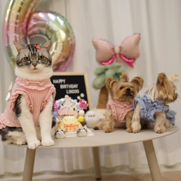 42歲阿Sa蔡卓妍被爆新戀情撻著大隻健身教練！靚仔男友抱貓傳情姐弟戀意外洩蜜