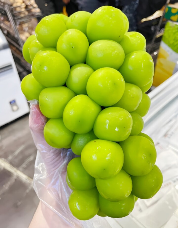 內地山寨晴王、香印提子再現！國產陽光玫瑰加貼紙即升價11倍／1關鍵辨真偽